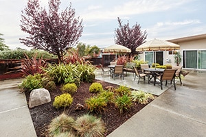 Outdoor patio and seating area